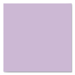 EnviroShades Steno Pad, Gregg Rule, White Cover, 80 Orchid 6 x 9 Sheets, 24 Pads/Carton, Ships in 4-6 Business Days