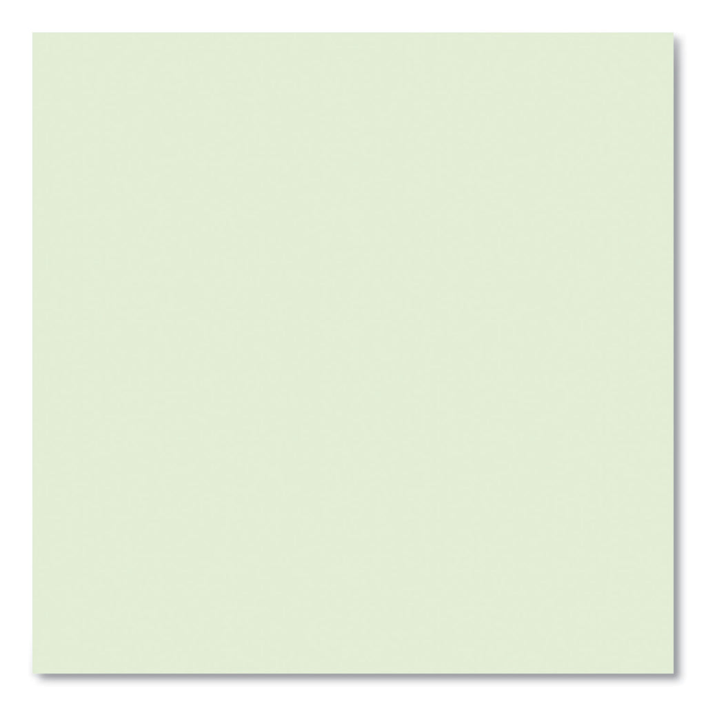 Boardroom Series Steno Pad, Gregg Ruled, Brown Cover, 80 Green 6 x 9 Sheets, 72 Pads/Carton, Ships in 4-6 Business Days