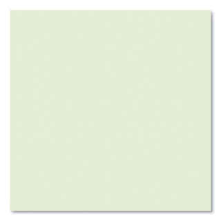 Boardroom Series Steno Pad, Gregg Ruled, Brown Cover, 80 Green 6 x 9 Sheets, 72 Pads/Carton, Ships in 4-6 Business Days