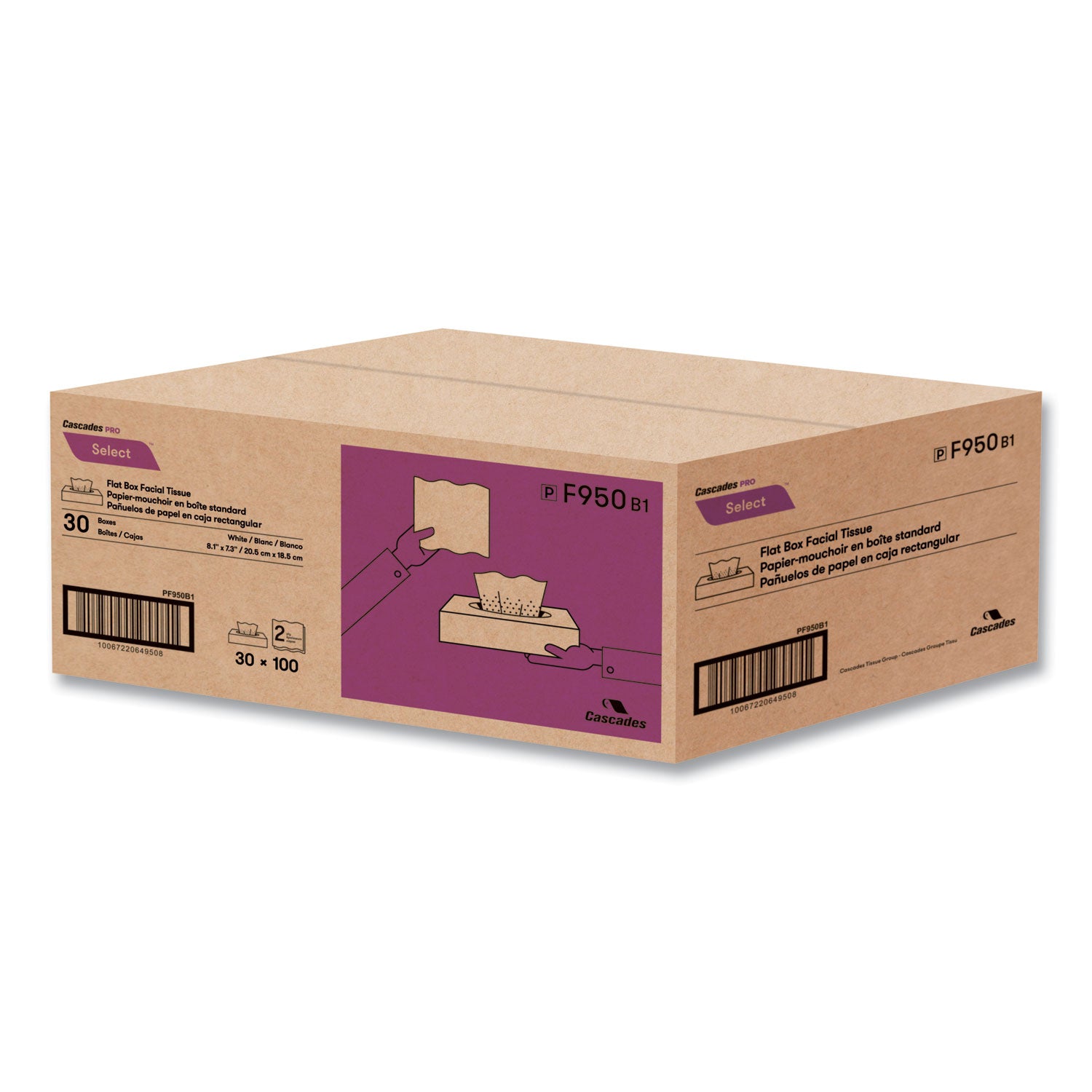 select-flat-box-facial-tissue-2-ply-white-100-sheets-box-30-boxes-carton_csdf950 - 3