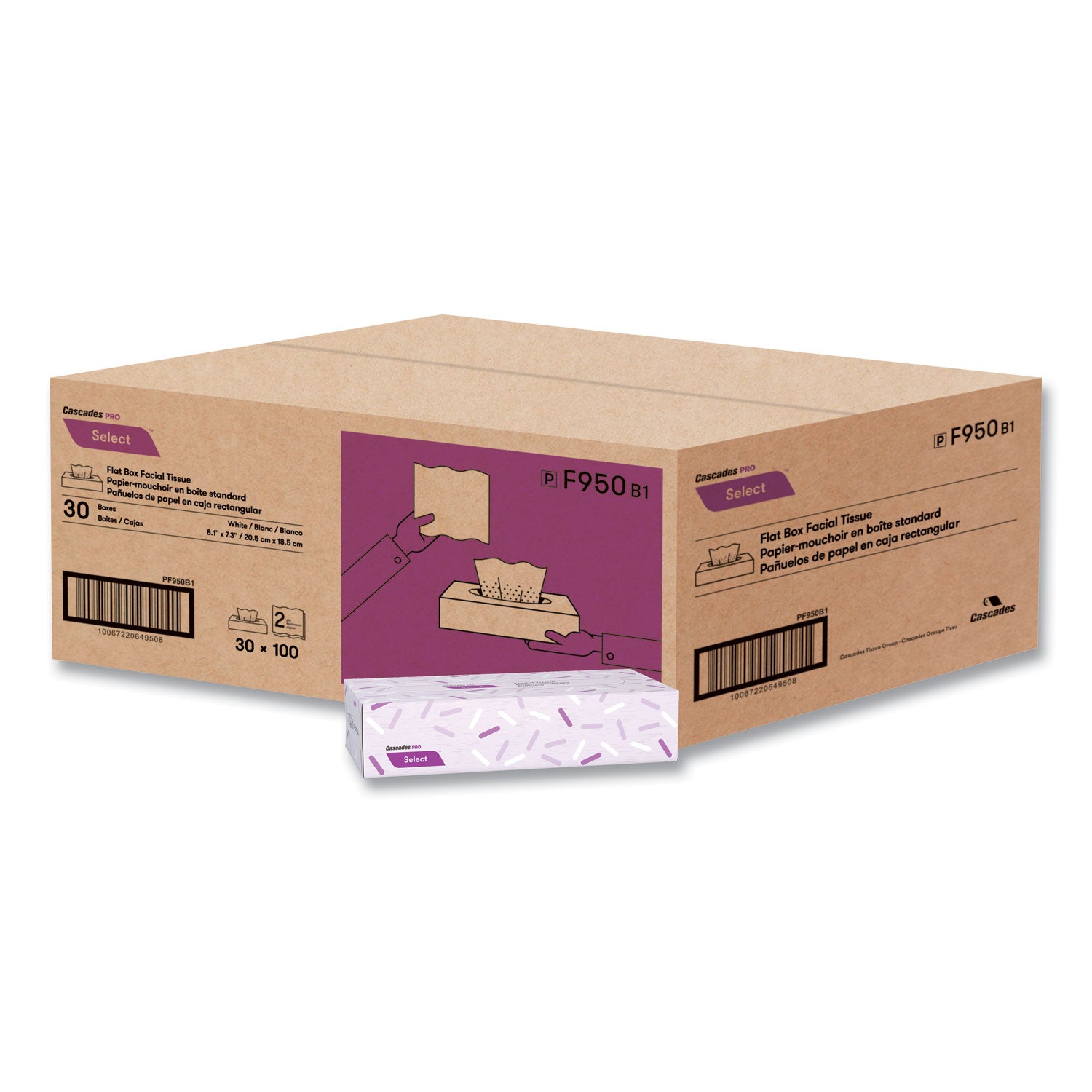 select-flat-box-facial-tissue-2-ply-white-100-sheets-box-30-boxes-carton_csdf950 - 4