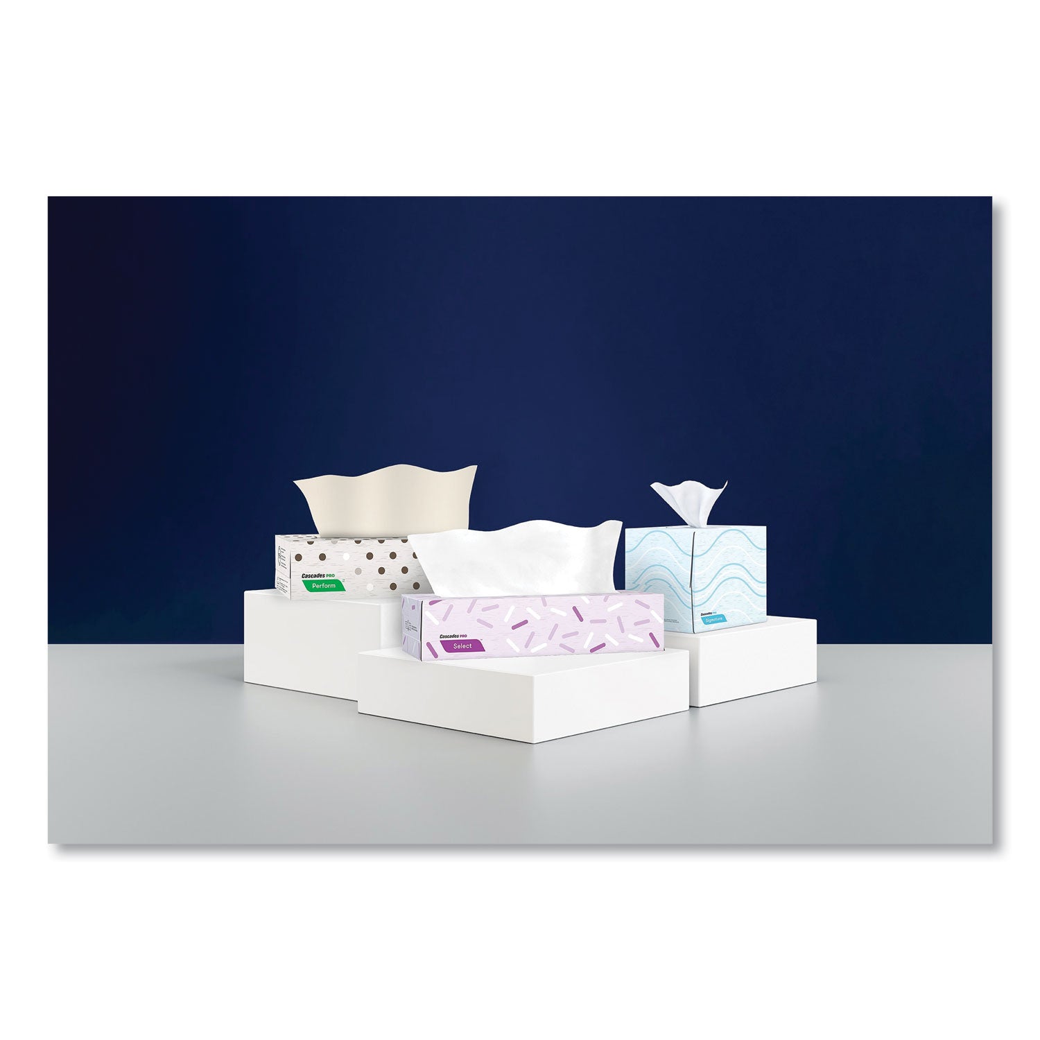 Select Flat Box Facial Tissue, 2-Ply, White, 100 Sheets/Box, 30 Boxes/Carton