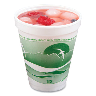 Horizon Hot/Cold Foam Drinking Cups, 12 oz, Green/White, 25/Bag, 40 Bags/Carton
