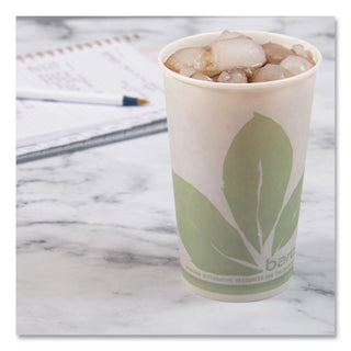 Bare Eco-Forward Paper Cold Cups, ProPlanet Seal, 16 oz, Green/White, 100/Sleeve 10 Sleeves/Carton