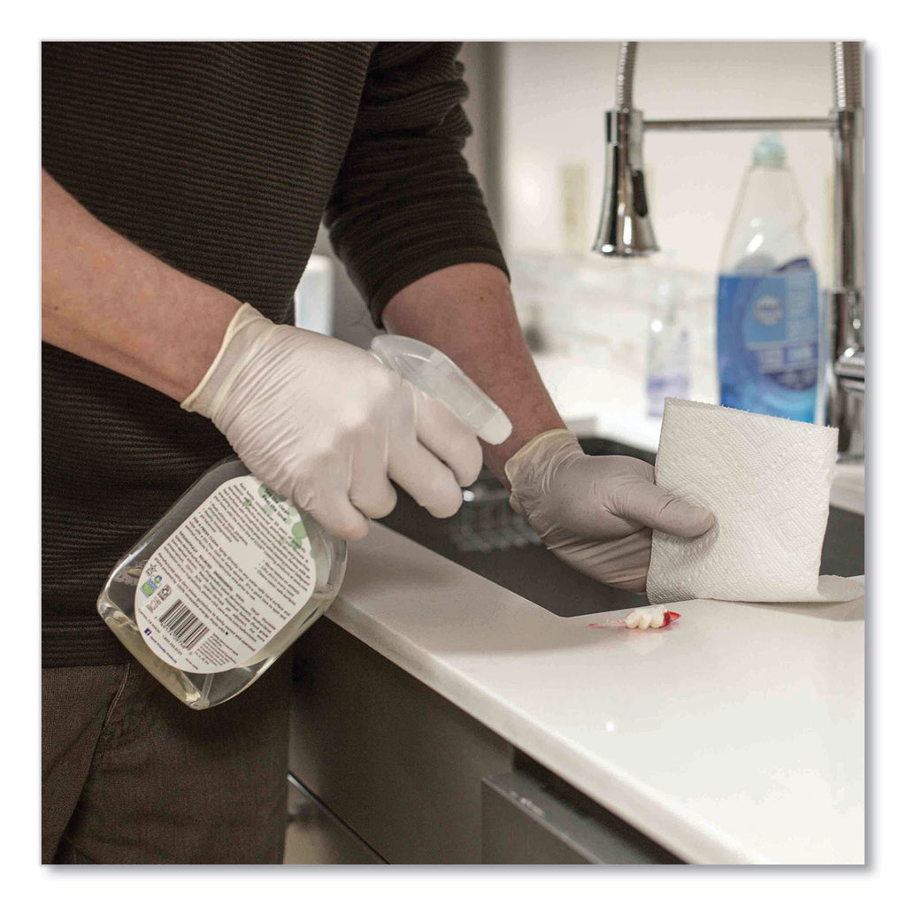 Latex Disposable Gloves, Powder-Free, 4 mil, Large, Ivory, 100 Gloves/Box, 10 Boxes/Carton