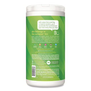 All Purpose Cleaning Wipes, 1 Ply, Lime and Sea Salt, White, 70/Canister, 6/Carton