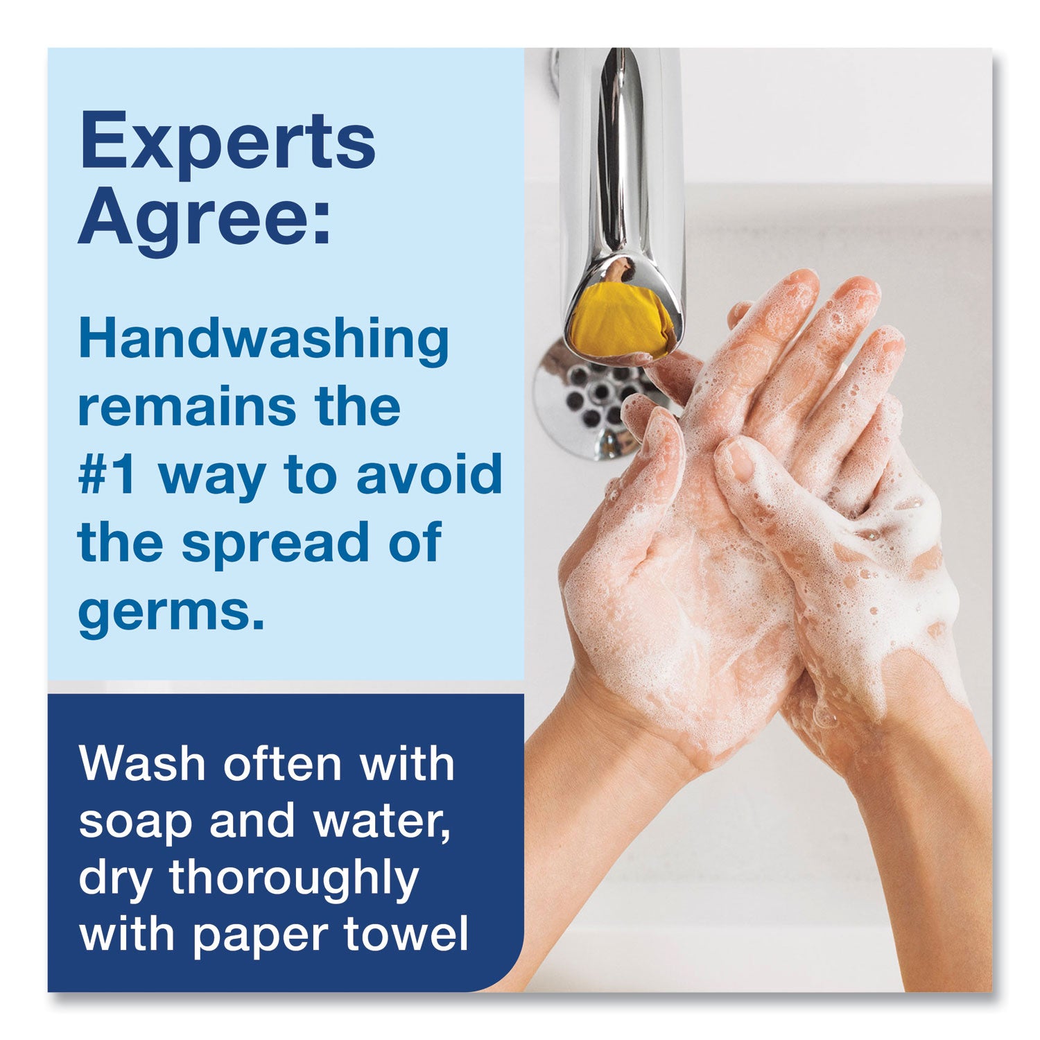 Clarity Hand Soap, Unscented, 1 L Refill, Clear, 6/Carton