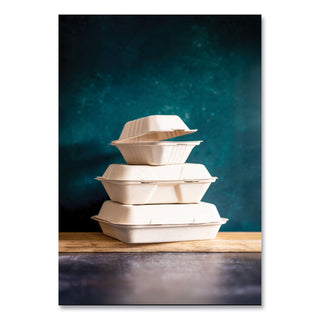 white-molded-fiber-clamshell-containers-3-compartment-9-x-18-x-2-white-sugarcane-200-carton_vegwhbrg93hw - 5