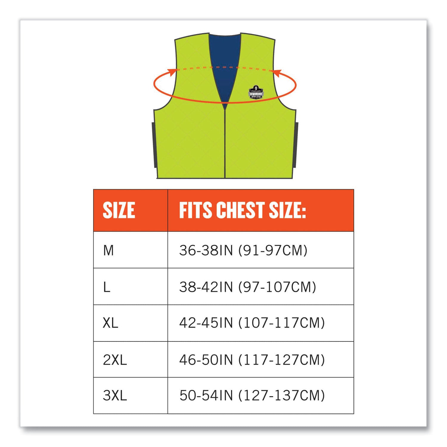 Ergodyne Chill-Its Evaporative Cooling Vest - Large Size - Polymer, Nylon - Lime - Comfortable, High Visibility, Ventilation, Stretchable, Water Repellent, Lightweight, Durable, Washable, Zipper Closure - 1 Each