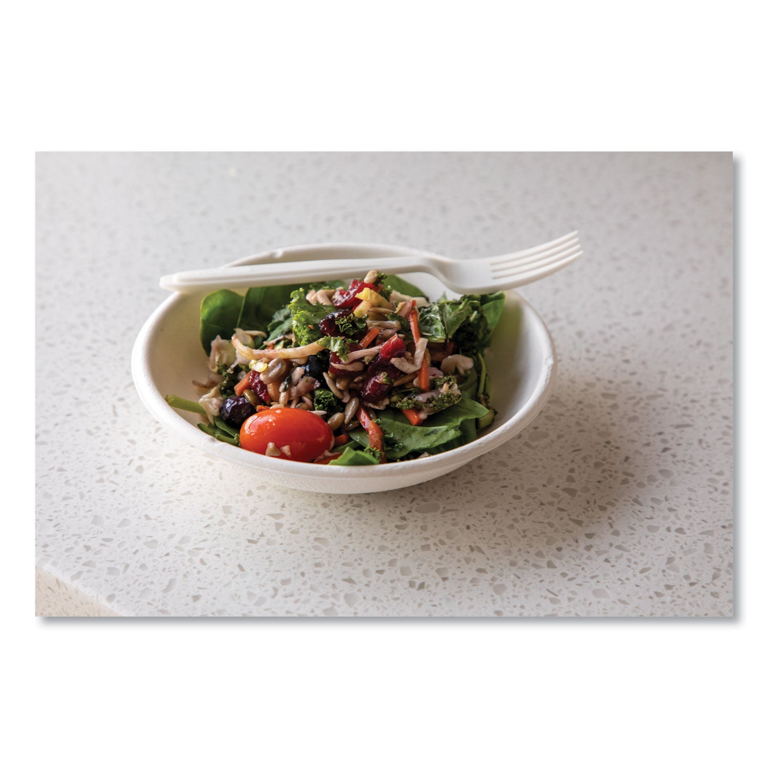 Renewable Sugarcane Bowls, 24 oz, Natural White, 50/Pack, 8 Packs/Carton - 