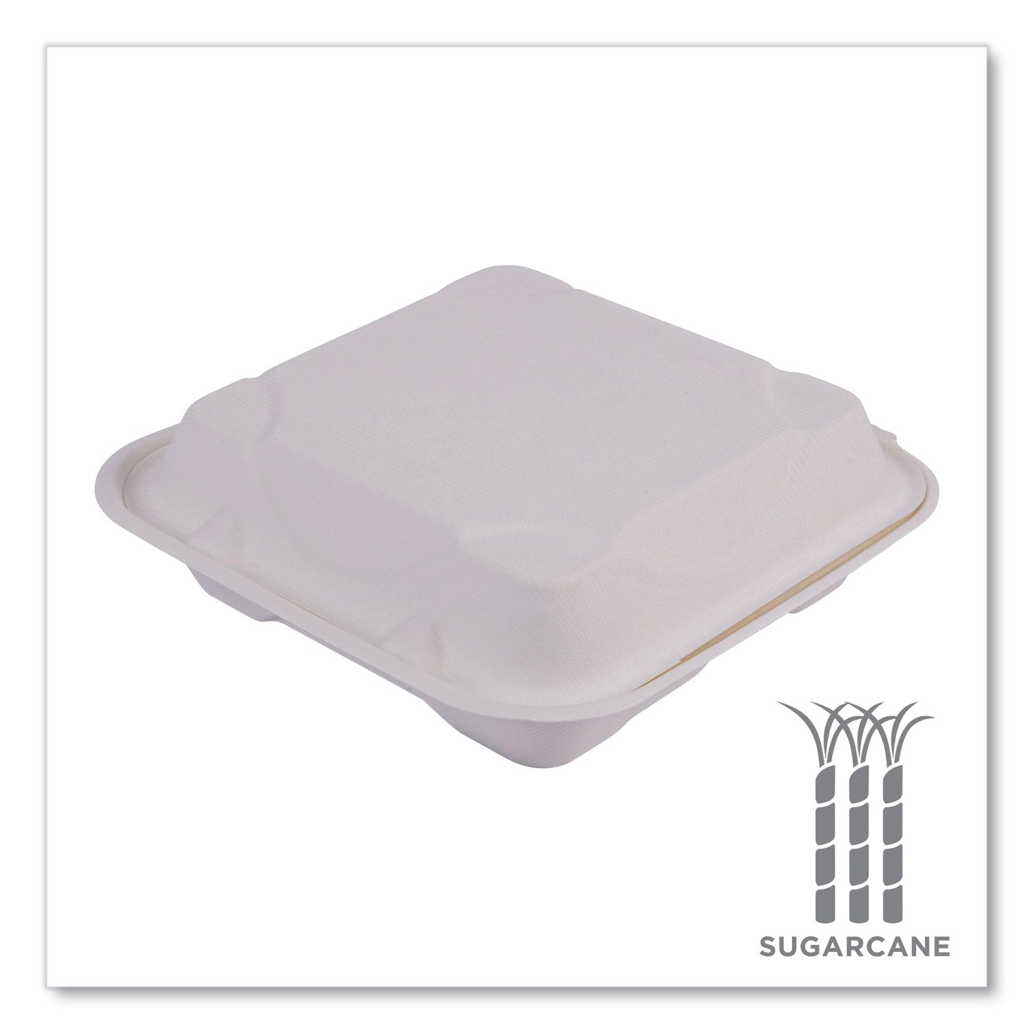 Bagasse Hinged Clamshell Containers, 3-Compartment, 9 x 9 x 3, White, Sugarcane, 50/Pack, 4 Packs/Carton - 