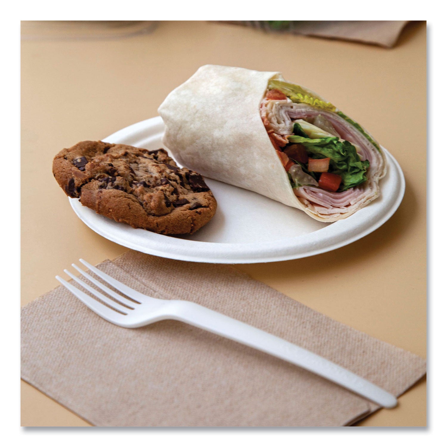 Renewable Sugarcane Plates, 10" dia, Natural White, 500/Carton - 