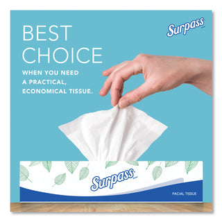 Facial Tissue for Business, 2-Ply, White, Flat Box, 100 Sheets/Box, 30 Boxes/Carton