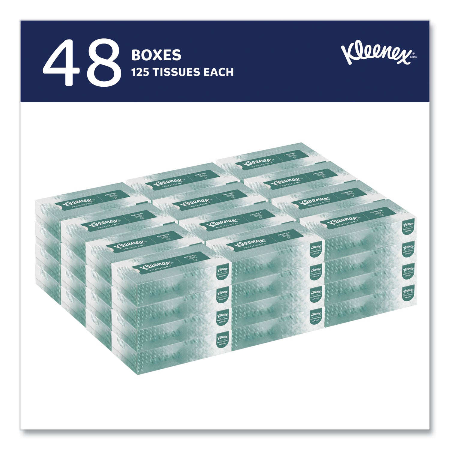Naturals Facial Tissue for Business, Flat Box, 2-Ply, White, 125 Sheets/Box, 48 Boxes/Carton
