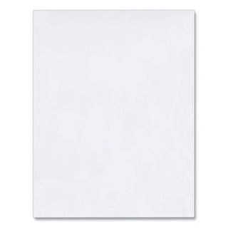 Redi-Strip Catalog Envelope, #13 1/2, Cheese Blade Flap, Redi-Strip Adhesive Closure, 10 x 13, White, 100/Box