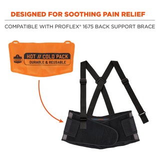 ProFlex 6275 Reusable Hot/Cold Pack Replacement, 13 x 6.7, 2/Pack, Ships in 1-3 Business Days