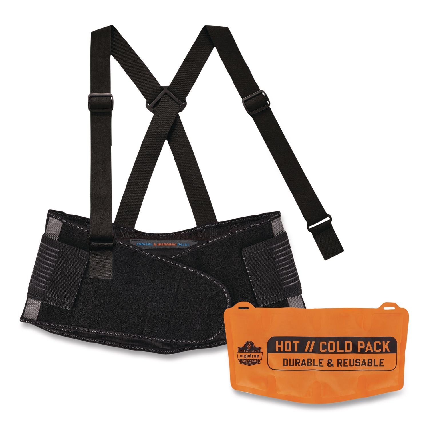 Proflex 1675 Back Support Brace with Cooling/Warming Pack, Small, 25" to 30" Waist, Black, Ships in 1-3 Business Days