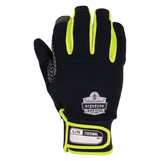 ProFlex 850 Insulated Freezer Gloves, Black, Large, Pair, Ships in 1-3 Business Days
