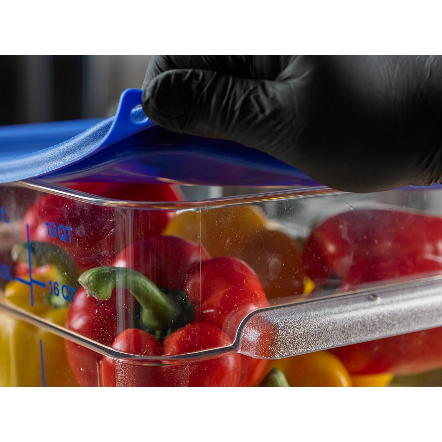 squares-food-storage-container-lid-1138-x-1138-x-063-blue-plastic_cfs1197260 - 3