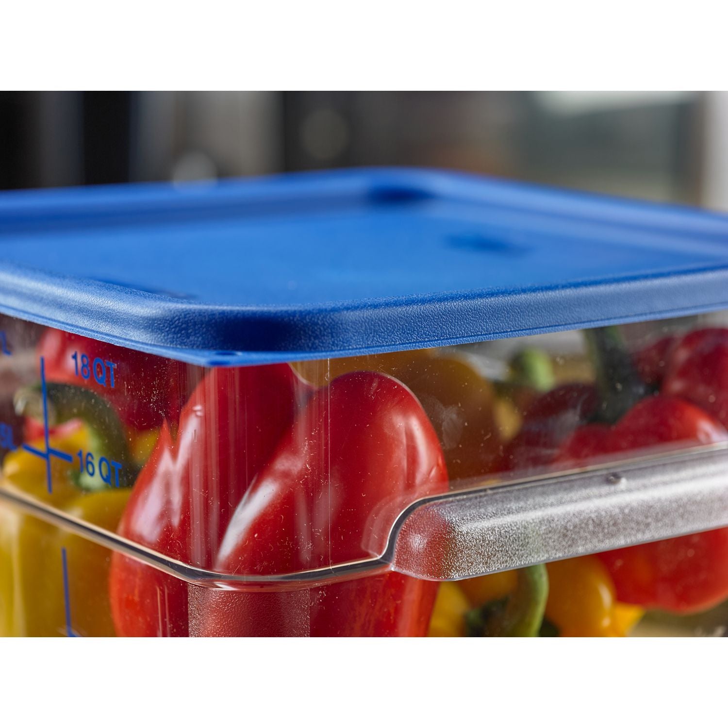 squares-food-storage-container-lid-1138-x-1138-x-063-blue-plastic_cfs1197260 - 2