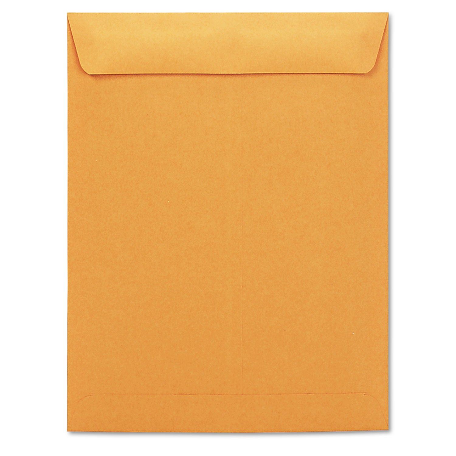 Catalog Envelope, #13 1/2, Square Flap, Gummed Closure, 10 x 13, Brown Kraft, 250/Box - 