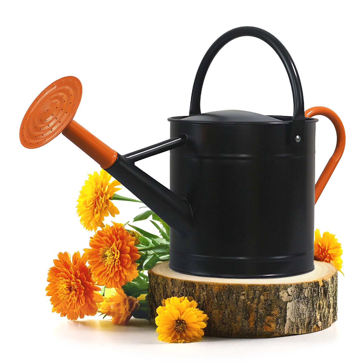 1 Gallon Shinny Black Metal Watering Can with Orange Handle and Spout