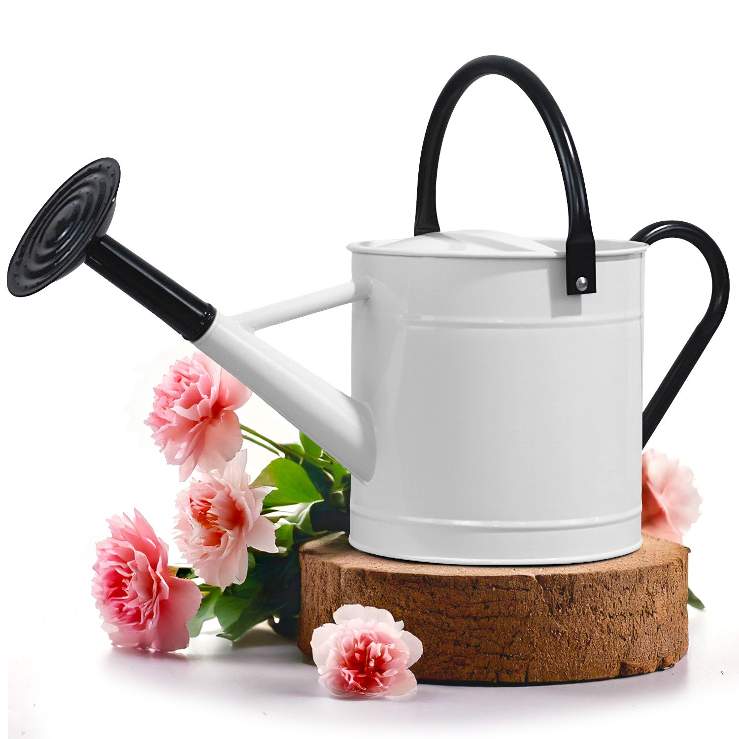 1 Gallon White Metal Watering Can with Black Handle and Spout