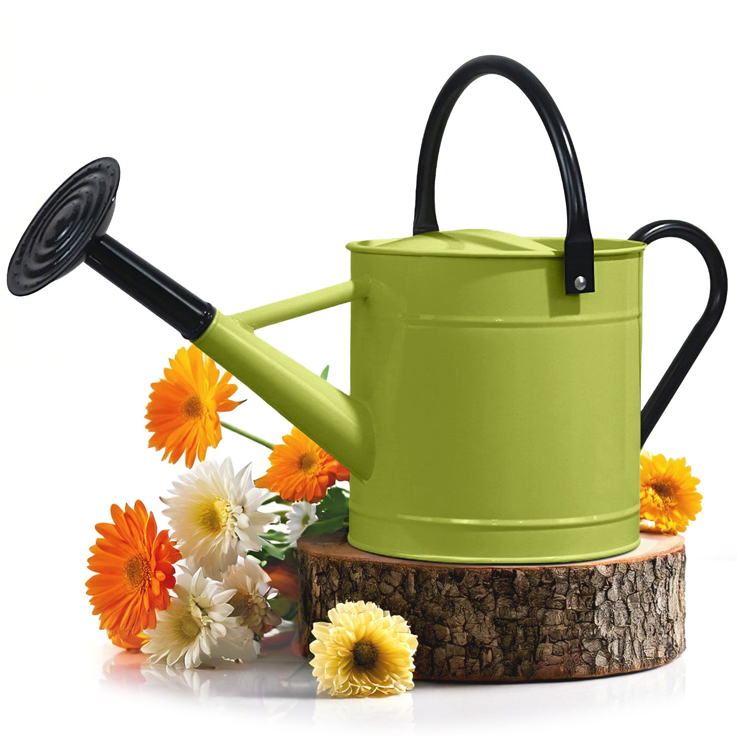 1 Gallon Green Metal Watering Can with Black Handle and Spout