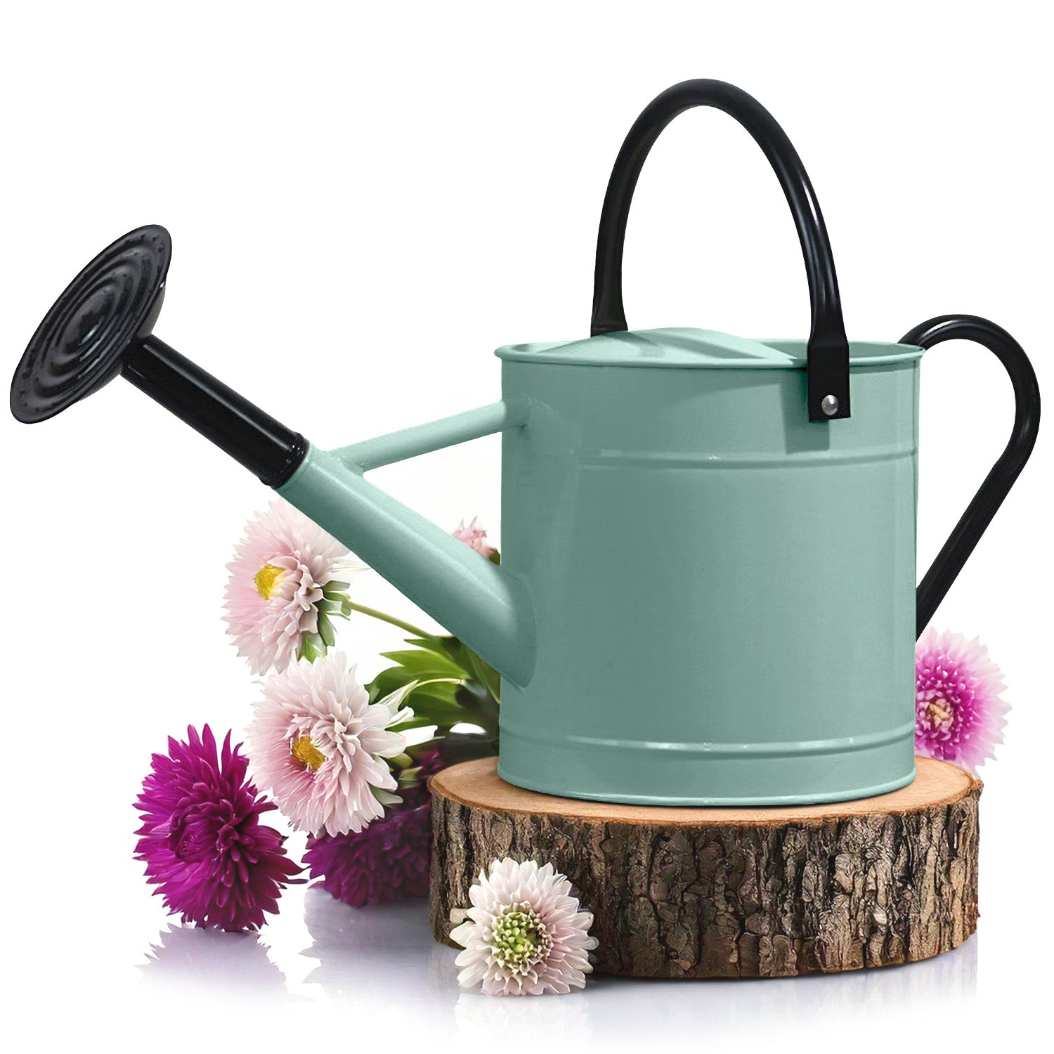 1 Gallon Light Blue Metal Watering Can with Black Handle and Spout