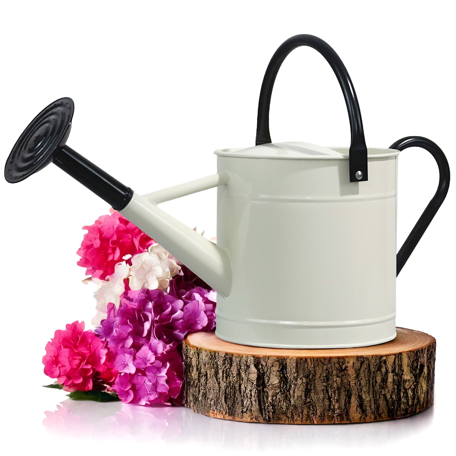 1 Gallon Off-white Metal Watering Can with Black Handle and Spout