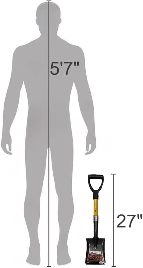 27" Square Short Transfer Shovel with Fiberglass Handle & Plastic D-Grip