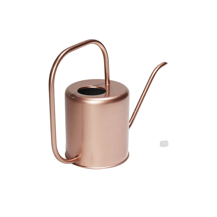 68 oz Rose Gold Stainless Steel Watering Can with Long Spout