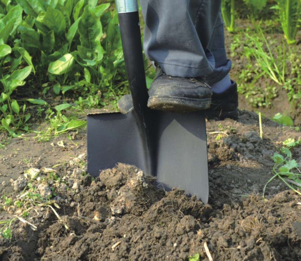 Round Shovel with Fiberglass Long Handle - 4