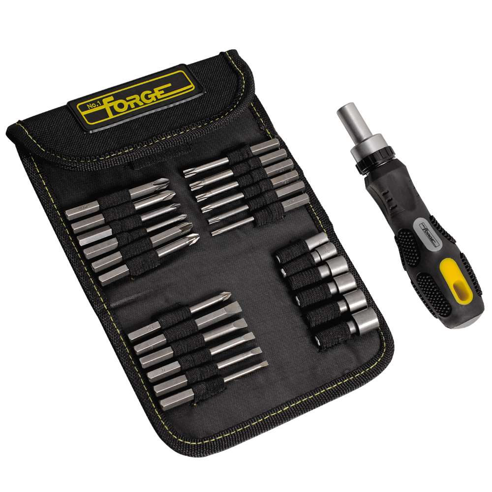 Chrome Vanadium Steel Ratchet Screwdriver & Bits Set with Storage Wallet, 26 Pieces