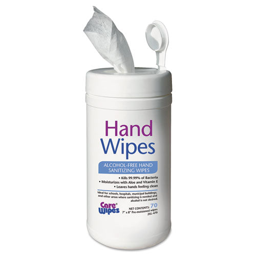Alcohol Free Hand Sanitizing Wipes, 7 x 8, White, Sold as 1 Carton, 6 Package per Carton 