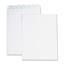 Business Source Removable Strip Catalog Envelopes, Sold as 1 Box, 100 Each per Box 