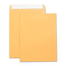 Business Source Catalog Envelope, Sold as 1 Box