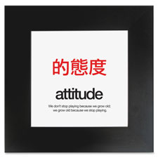 Aurora Attitude Poster, Sold as 1 Each