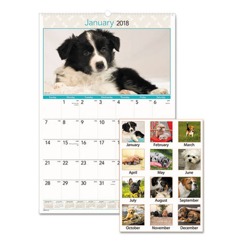Visual Organizer - Visual Organizer Recycled Puppies Wall Calendar, 15-1/2 x 22-3/4, Sold as 1 EA